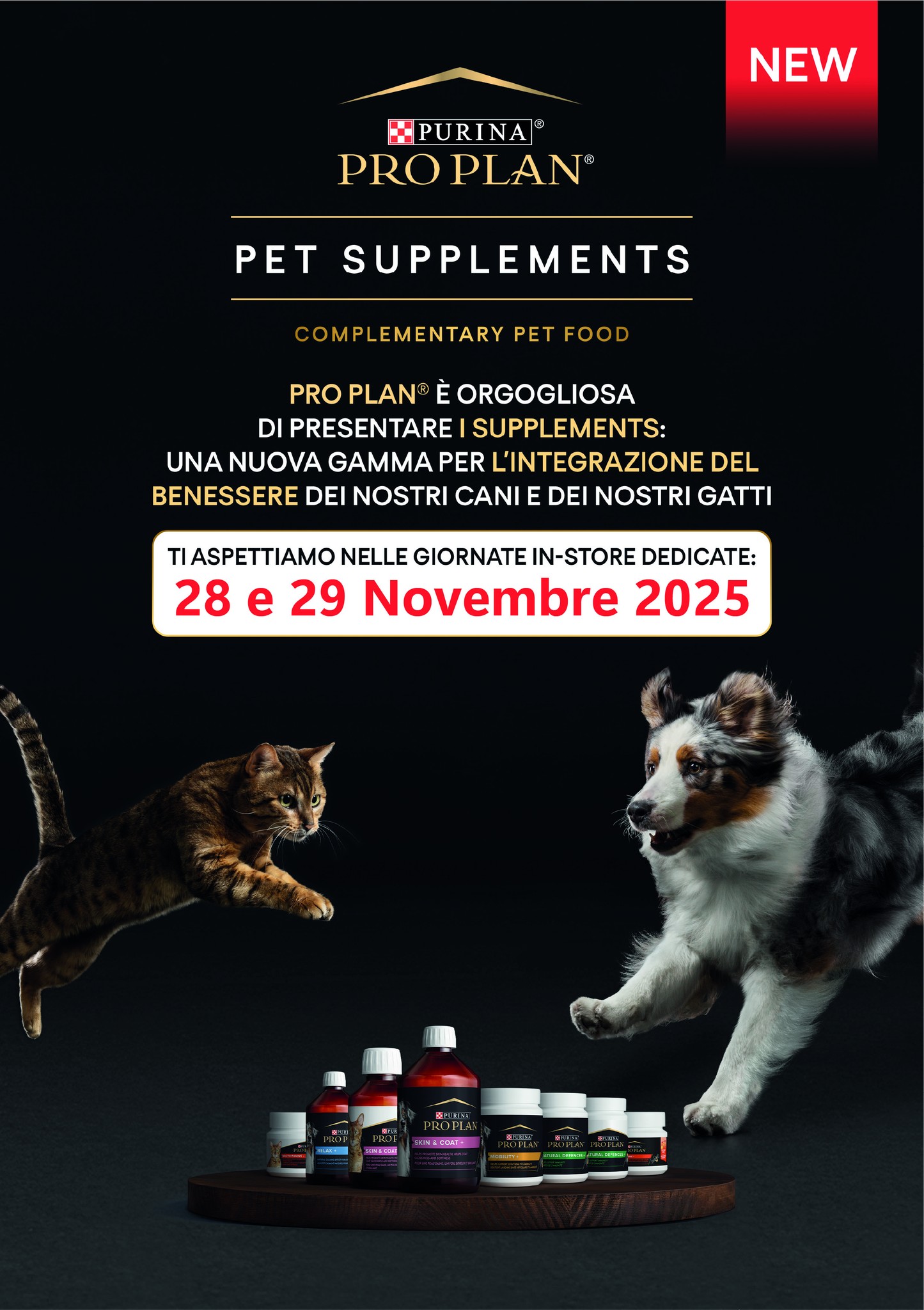 590912867_1417971393667842_8089435593118534539_n (1)